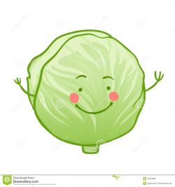 Cabbage clipart cute - Pencil and in color cabbage clipart cute