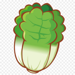 Cartoon Vegetable Drawing - Cartoon lifelike cabbage png download ...