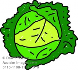 Clipart Image of A Whimsical Drawing Of Cabbage