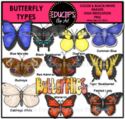 Butterfly Types Clip Art Bundle (Color and B&W) - Welcome to ...