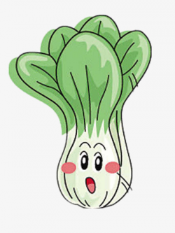 Lovely Cabbage, Big Eyes, Vegetables, Saucy PNG Image and Clipart ...