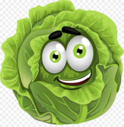 Chinese cabbage T-shirt Vegetable Clip art - cabbage png download ...