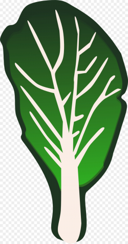 Leaf vegetable Lettuce Clip art - Green cabbage leaves png download ...