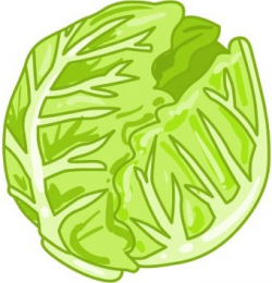 Cabbage Clipart Cartoon#3117114