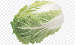 Salad Iceberg lettuce Produce - Salad PNG image png download - 1838 ...