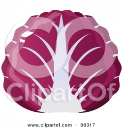 Red cabbage clipart - Clipground