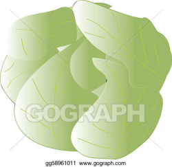 Vector Stock - Cabbage. Clipart Illustration gg58961011 - GoGraph