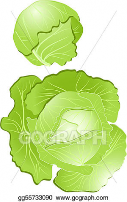 Vector Stock - Cabbage. Clipart Illustration gg55733090 - GoGraph