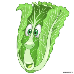 Cartoon Chinese Cabbage character. Green leafy Lettuce. Happy ...