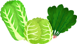 Leafy vegetables | Free Clipart Illustrations - illustorium