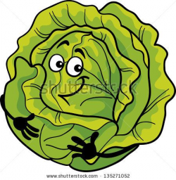 Cartoon Illustration of Funny Comic Green Cabbage or Lettuce ...