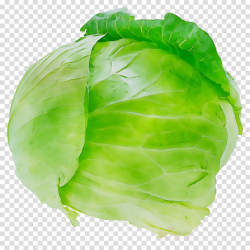 Green Leaf Background clipart - Cabbage, Lettuce, Green ...