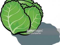 Cabbage Clipart lettuce leaf 23 - 438 X 391 Free Clip Art ...
