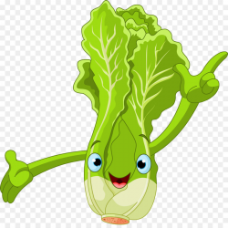 Lettuce Cartoon Royalty-free Clip art - Chinese cabbage png download ...