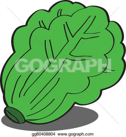 Lettuce leaves clipart - Clipground