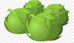 Cabbage Vegetable Lettuce Clip art - Cartoon Cabbage Food PNG png ...