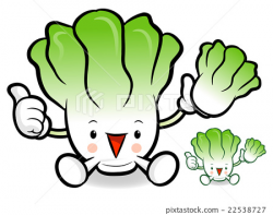 Napa cabbage Mascot to promote Vegetable selling. - Stock ...