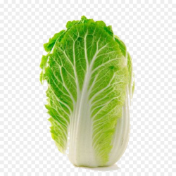 Napa cabbage Choy sum Kohlrabi Chinese cabbage - Green cabbage png ...