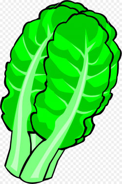 Chinese cabbage Leaf vegetable Clip art - Chinese cabbage png ...