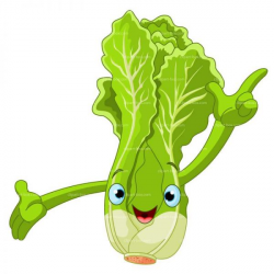 Cabbage clipart 7 | Nice clip art