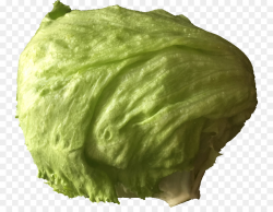 Iceberg lettuce Lettuce sandwich Salad Vegetable Clip art - leaf png ...