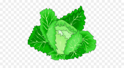 Leaf vegetable Cabbage Clip art - Cartoon green cabbage vegetables ...
