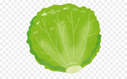 Red leaf lettuce Food Vegetable Nutrition - lettuce clipart png ...