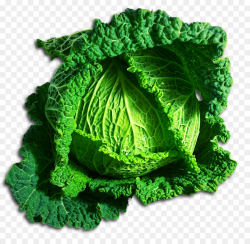Cabbage Vegetable Romaine lettuce Clip art - Cabbage png download ...