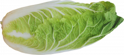 Salad PNG images, free salad pictures PNG download