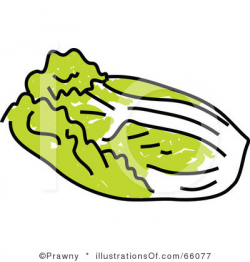 Cabbage 20clipart | Clipart Panda - Free Clipart Images