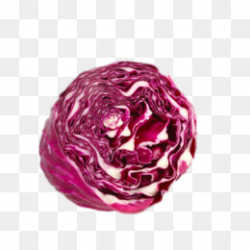 Red Cabbage Png, Vectors, PSD, and Clipart for Free Download | Pngtree