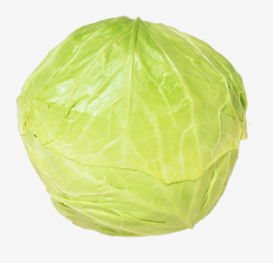 Single Cabbage, Cabbage, Chinese Cabbage, Lotus White PNG Image and ...
