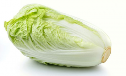 Chinese cabbage / ผักกวางตุ้ง | Vegetable | Pinterest | Chinese ...