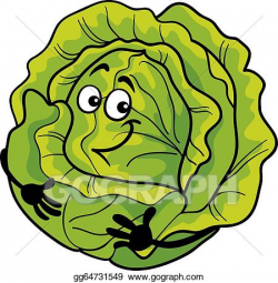 Cabbage Clip Art - Royalty Free - GoGraph