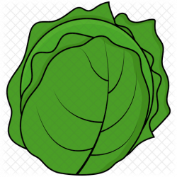 Cabbage Icon - Food & Drinks Icons in SVG and PNG - Iconscout