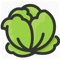 Cabbage Icon - Agriculture & Farming Icons in SVG and PNG - Iconscout