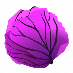 File:Red cabbage.svg - Wikimedia Commons