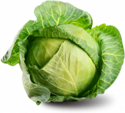 Cabbage PNG Clipart | Web Icons PNG