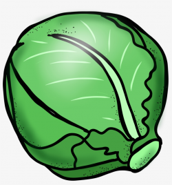 Lettuce Clip Art - Cabbage Clipart - Free Transparent PNG ...