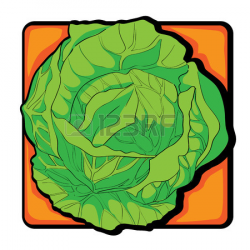 Cabbage Clipart | Free download best Cabbage Clipart on ClipArtMag.com