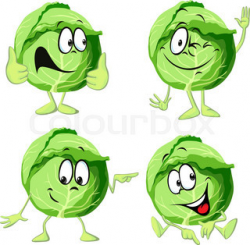 Cabbage Clipart Cartoon