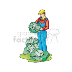 Royalty-Free Farmer in overalls harvesting cabbage 128387 vector ...