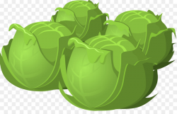 Green Leaf Background clipart - Cabbage, Vegetable, Lettuce ...