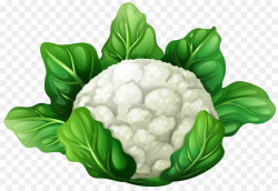 Cauliflower Vegetable Clip art - cabbage png download - 8000*5454 ...