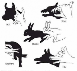29 best Shadow puppets images on Pinterest | Hand shadows, Hand ...
