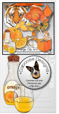 Orange Clip Art. Color clipart set 3 | Clip art and Teacher