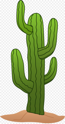Cactaceae Saguaro Drawing Clip art - Arizona Cowboy Cliparts png ...