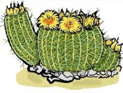 Free Barrel Cactus Clipart