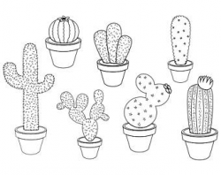 Cactus line art | Etsy