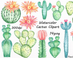Watercolor Cactus Clipart Hand painted succulents digital